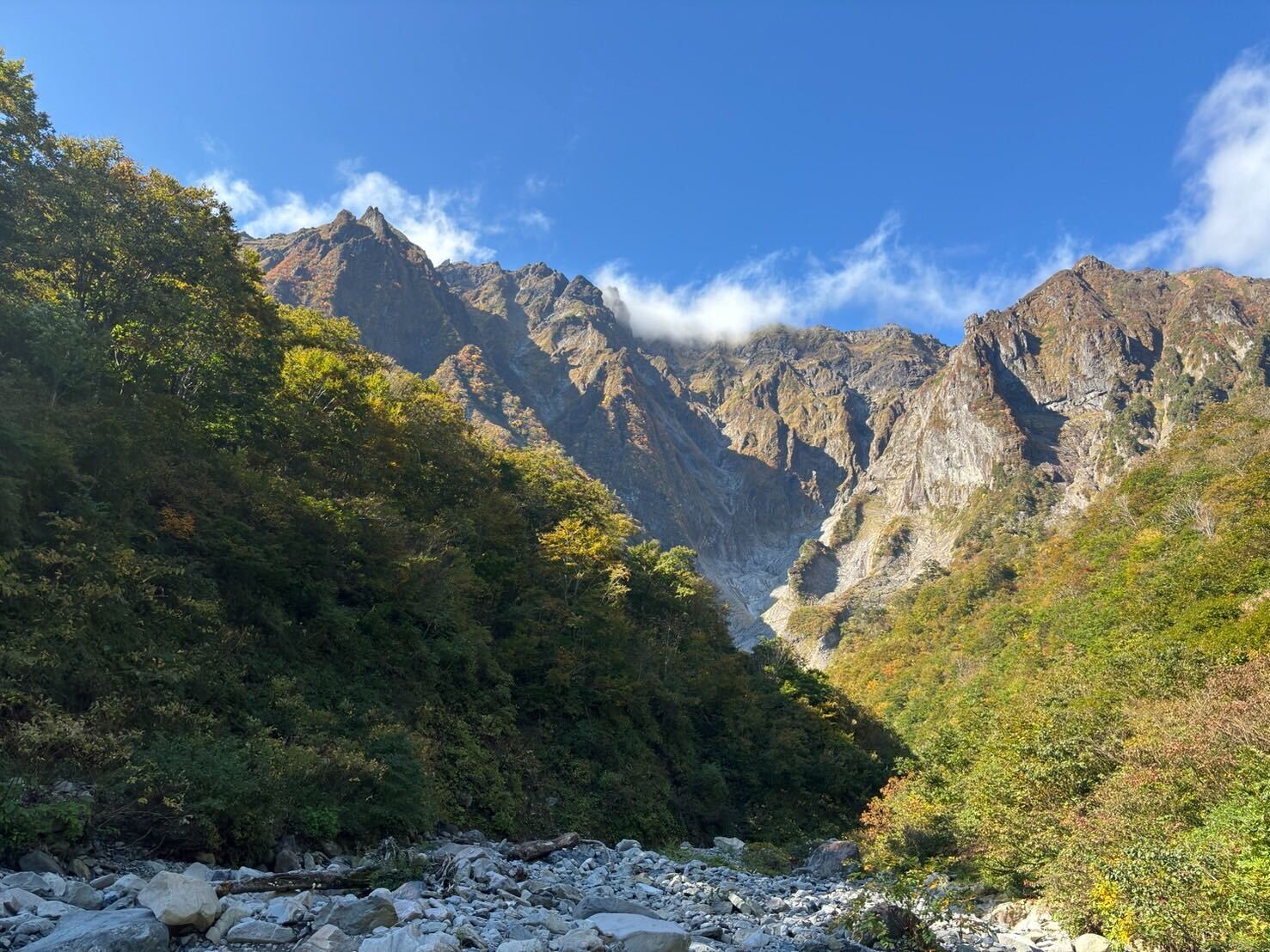 寒くなってきました。